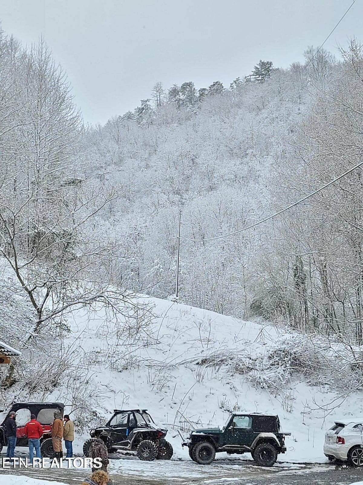 1575 Old 15th Road Del Rio, TN 37727 - Photo 52 of 55 IMG_7936