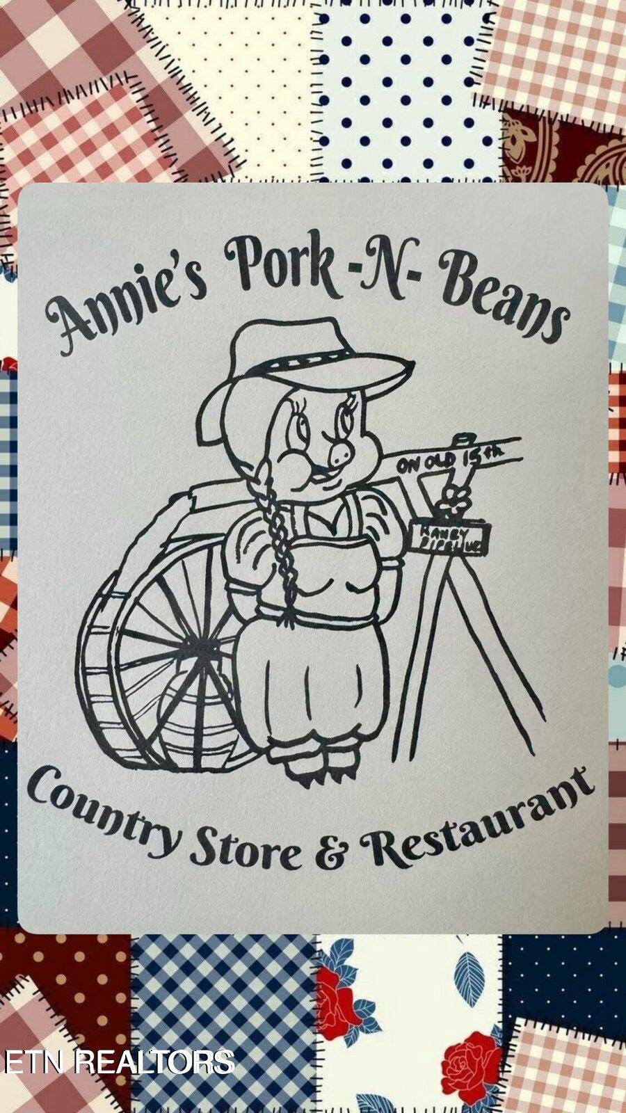 1575 Old 15th Road Del Rio, TN 37727 - Photo 55 of 55 IMG_7935