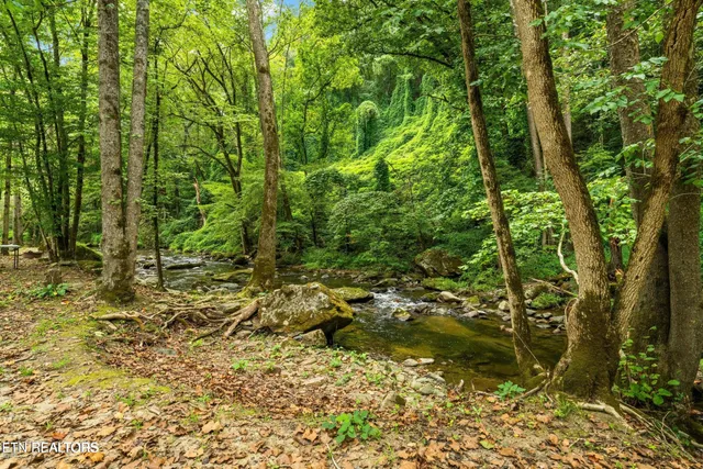 $419,000 | 1575 Old 15th Road, Del Rio, TN 37727