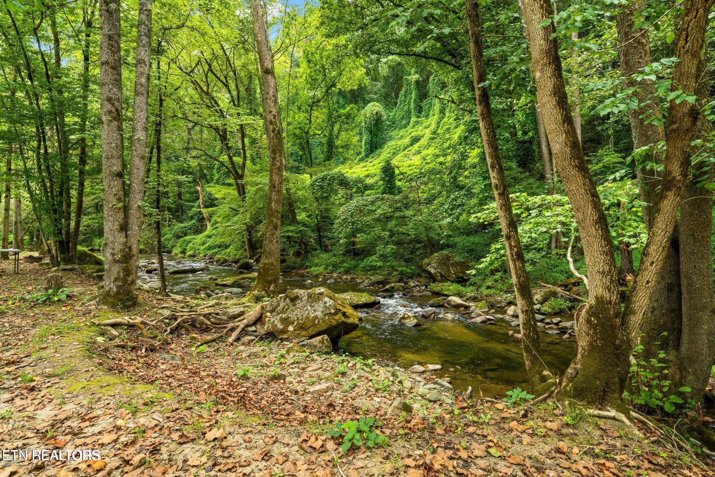 1575 Old 15th Road Del Rio, TN 37727 - Photo 7 of 55 IMG_7924