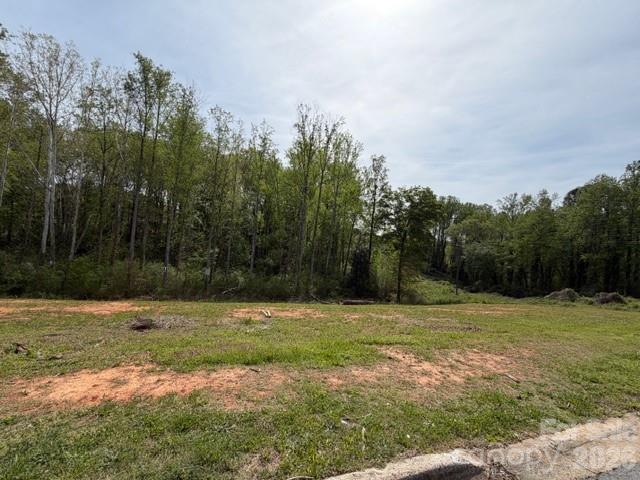 844 Newcastle Road Gastonia, NC 28052 - Photo 4 of 5 Gallery Image 4