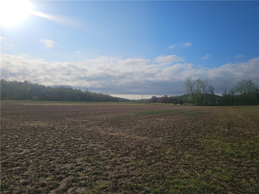 1537 Tyre Road Galen, NY 14433 - Photo 15 of 33