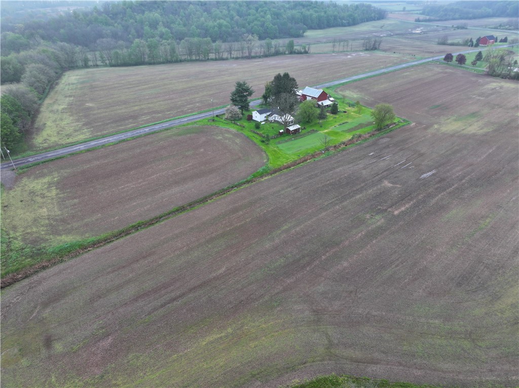 1537 Tyre Road Galen, NY 14433 - Photo 16 of 33