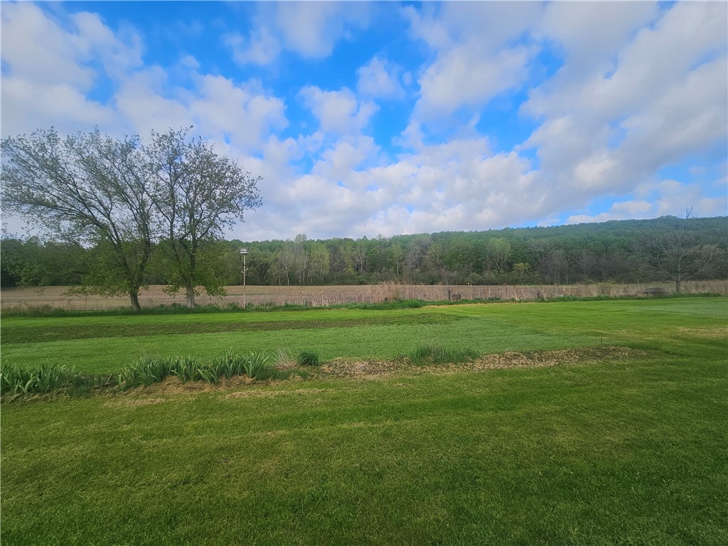 1537 Tyre Road Galen, NY 14433 - Photo 27 of 33