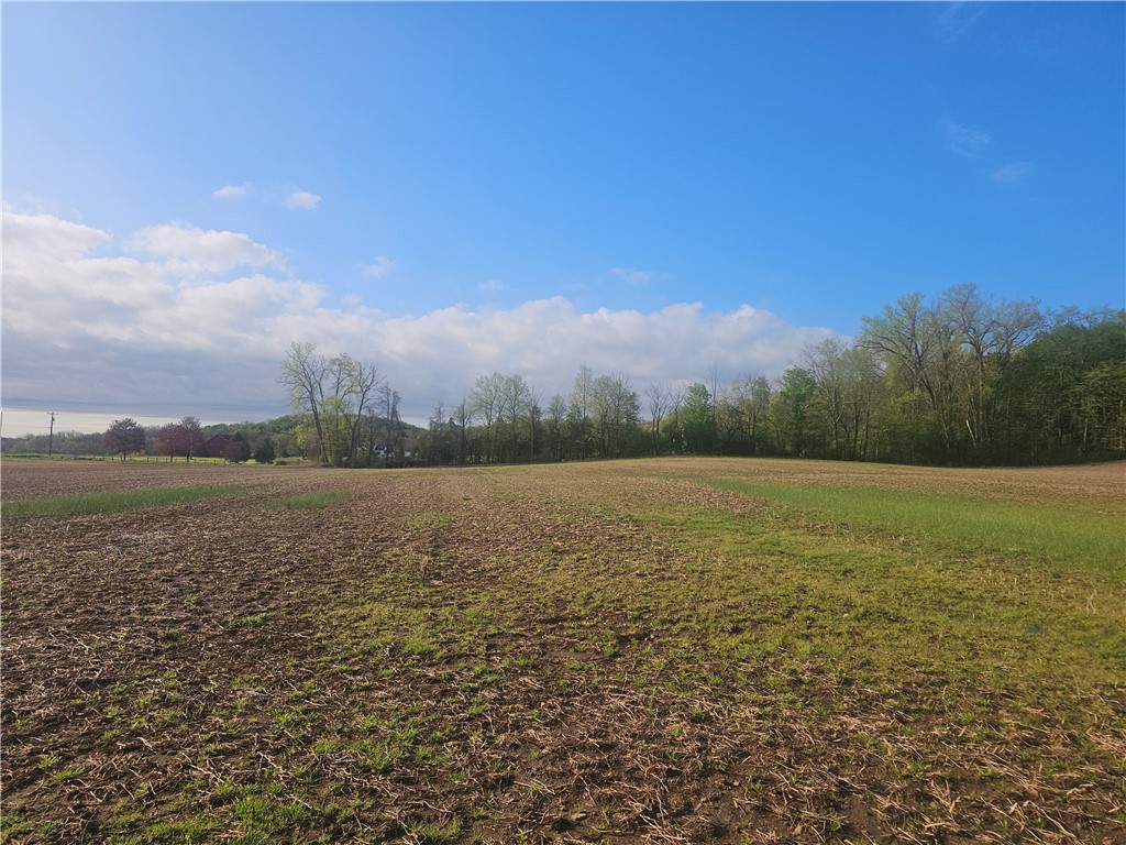 1537 Tyre Road Galen, NY 14433 - Photo 6 of 33