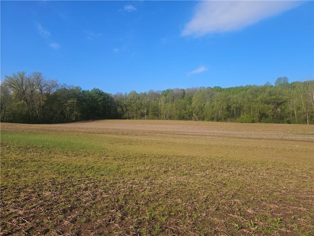 1537 Tyre Road Galen, NY 14433 - Photo 7 of 33