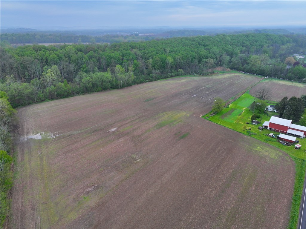 1537 Tyre Road Galen, NY 14433 - Photo 8 of 33