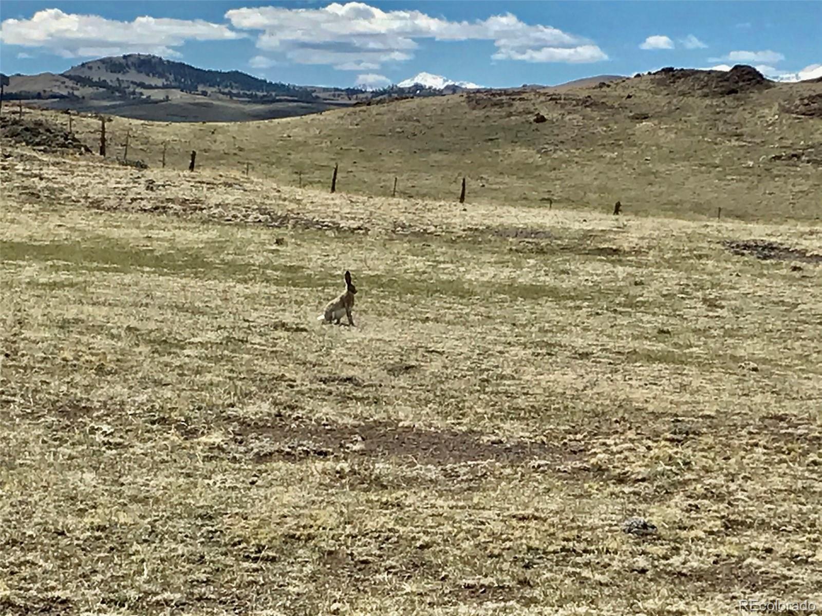 118 A Tbd Cty Road Hartsel, CO 80449 - Photo 5 of 26