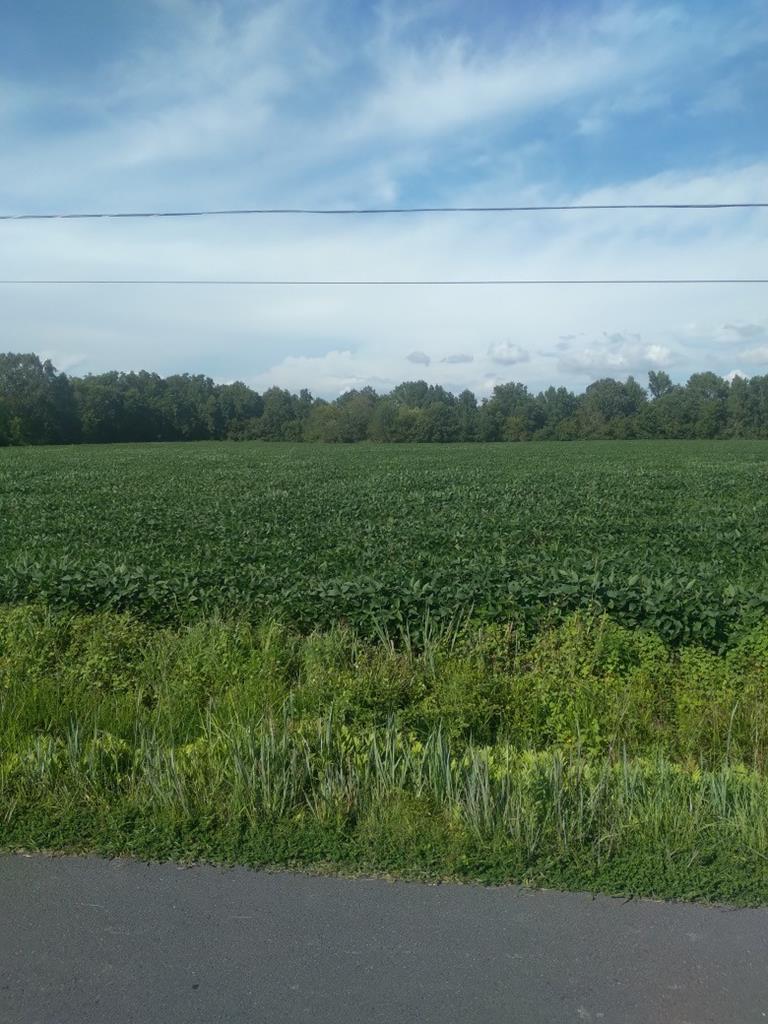 Lot 84 Mitchell Road, Unit 84 Bloxom, VA 23308 - Photo 1 of 3