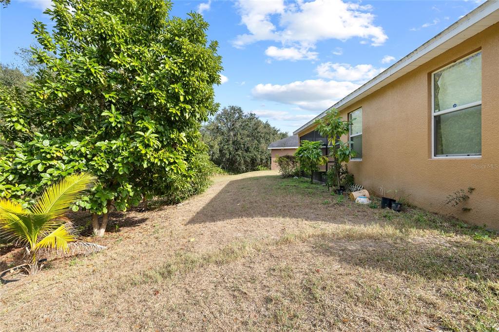 10925 Rockledge View Drive Riverview, FL 33579 - Photo 36 of 49 a view of a backyard with potted plants