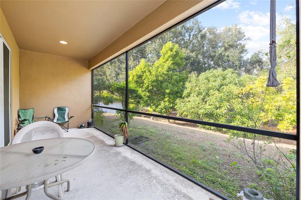 10925 Rockledge View Drive Riverview, FL 33579 - Photo 38 of 49 a balcony view with green space