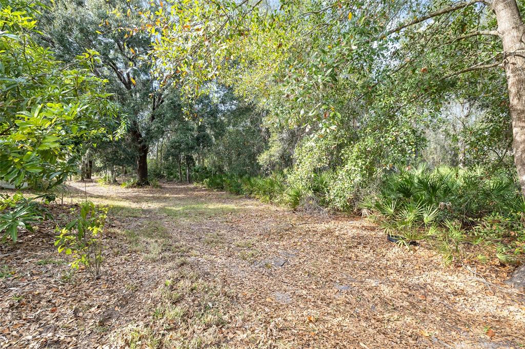 10925 Rockledge View Drive Riverview, FL 33579 - Photo 43 of 49 a view of backyard with green space