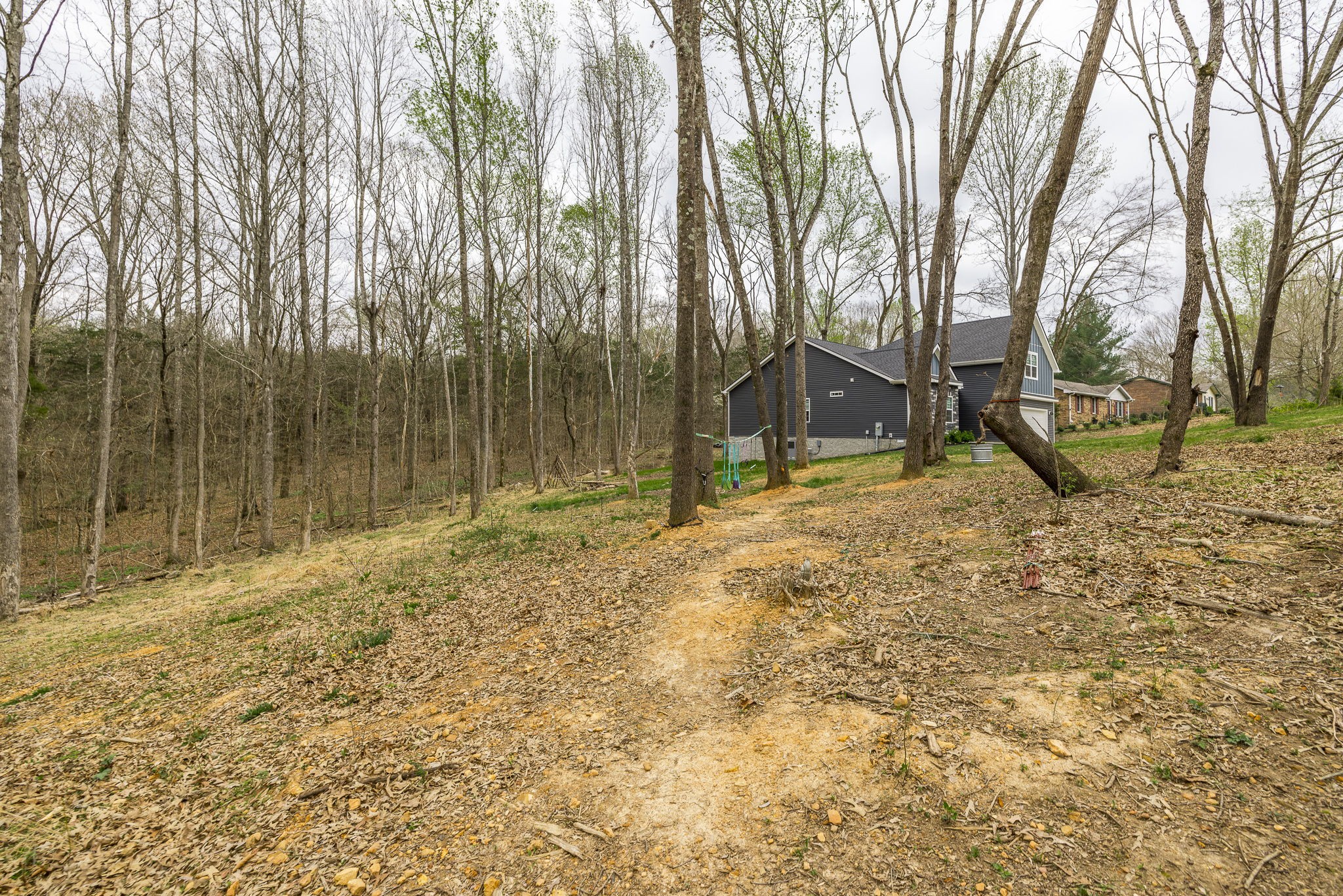 1845 Dinsmore Road Clarksville, TN 37040 - Photo 70 of 70 a backyard of a house with lots of green space