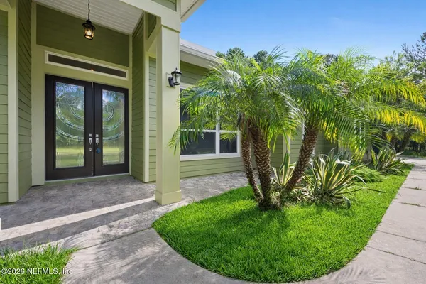 a view of a backyard with plants