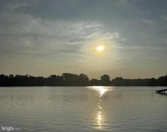 a view of a lake with palm trees