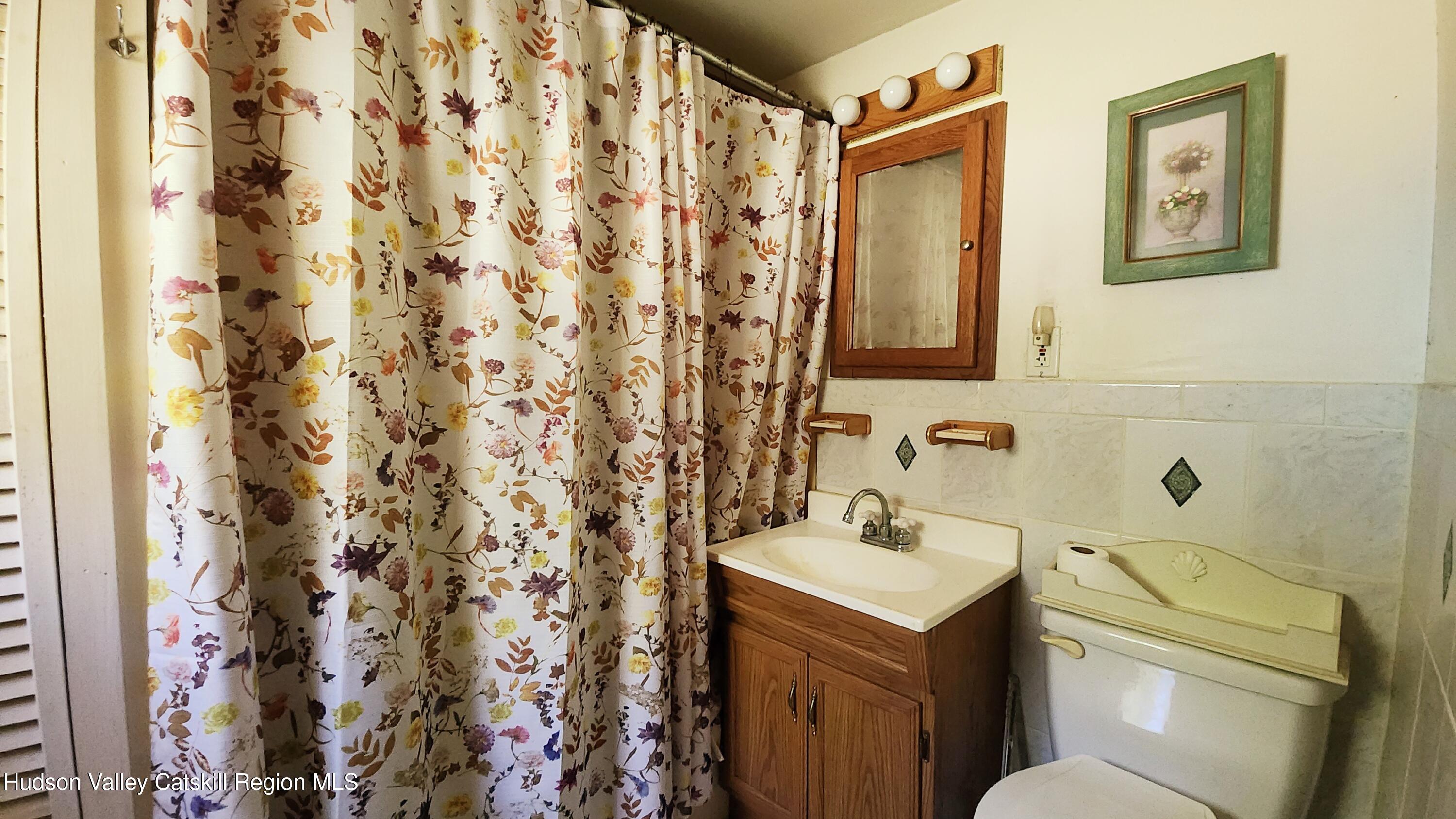 8702 Highway 32 Cairo, NY 12413 - Photo 11 of 14 a bathroom with a sink toilet and shower