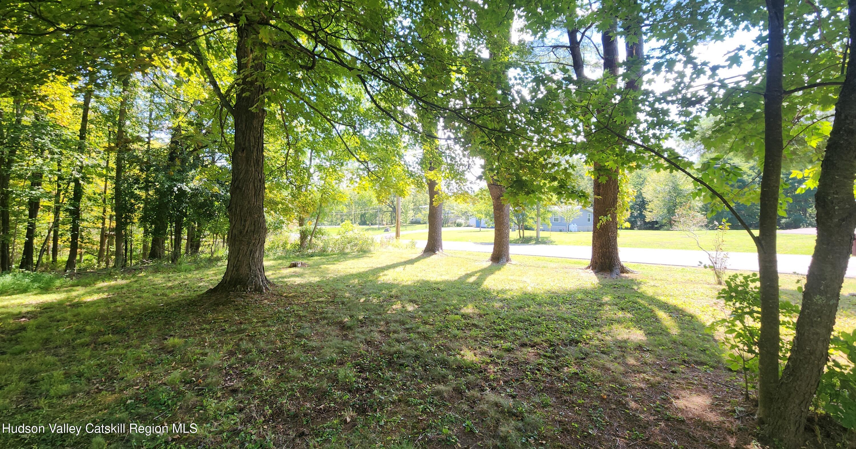 8702 Highway 32 Cairo, NY 12413 - Photo 14 of 14 a view of yard with trees
