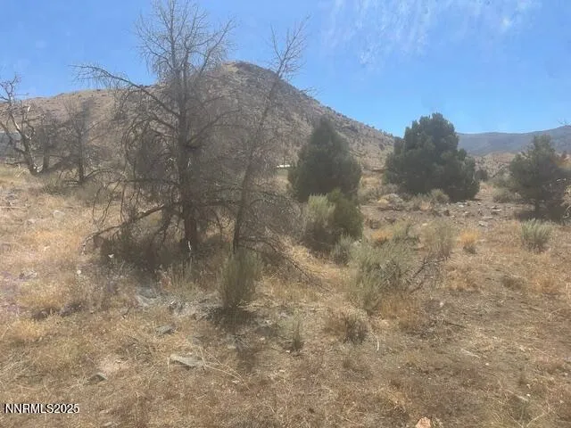 a view of a dry yard