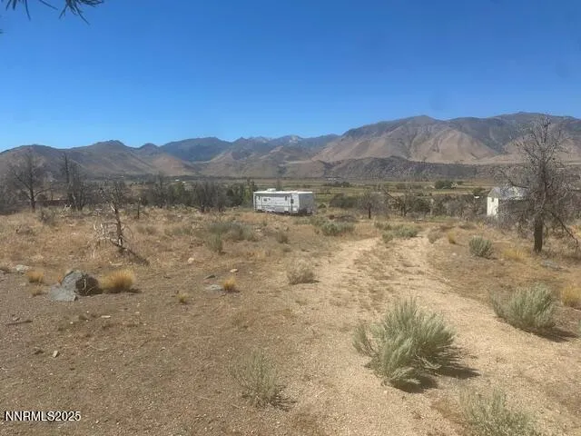 a view of a dry yard