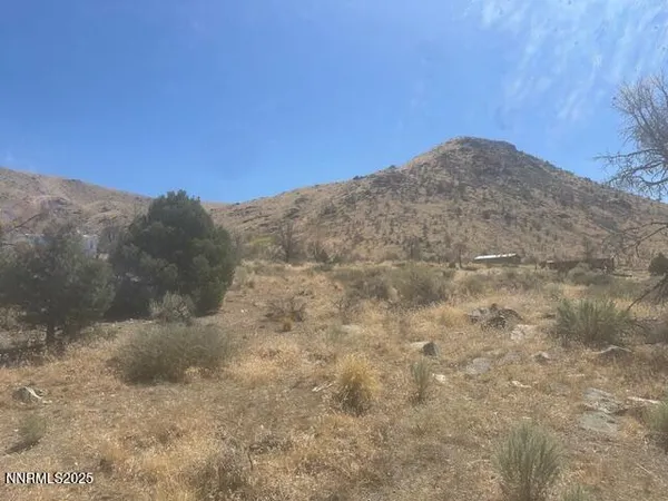 a view of a dry yard