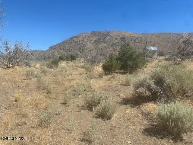 a view of a dry yard with mountains in the background
