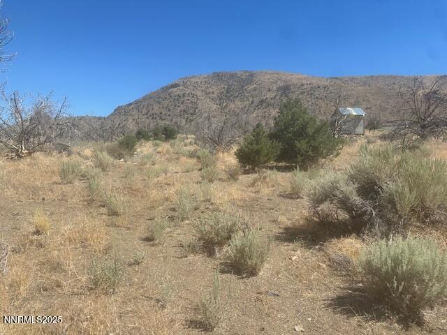 0 Pinon Place Coleville, CA 96107 - Photo 14 of 27 a view of a dry yard