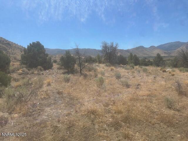 0 Pinon Place Coleville, CA 96107 - Photo 15 of 27 a view of a dry yard with mountains in the background