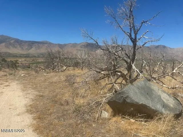 a view of a dry yard with trees in the background