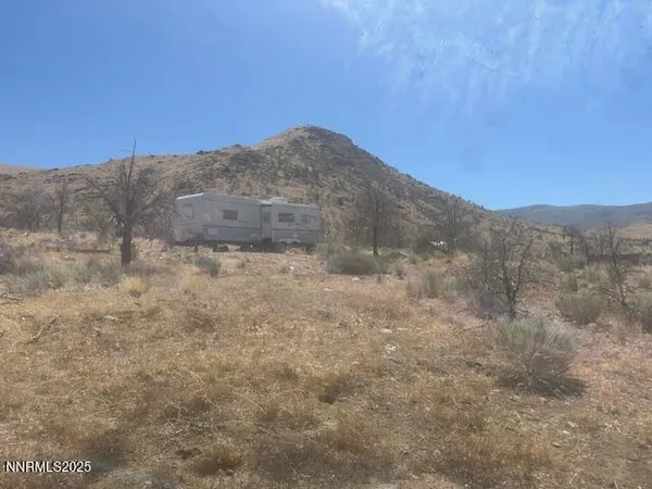 a view of a dry yard with trees in the background