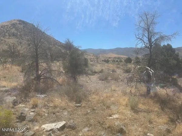 a view of a dry yard with mountains in the background