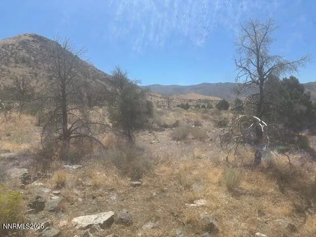 $59,900 | 0 Pinon Place, Coleville, CA 96107