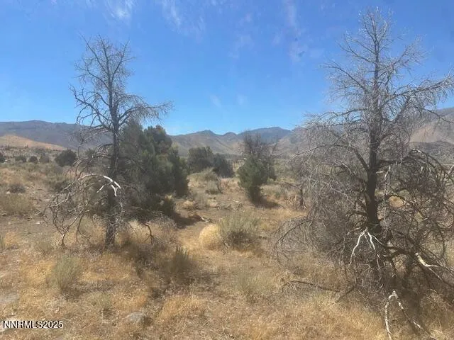 $59,900 | 0 Pinon Place, Coleville, CA 96107