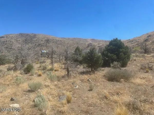 a view of a dry yard with mountains in the background