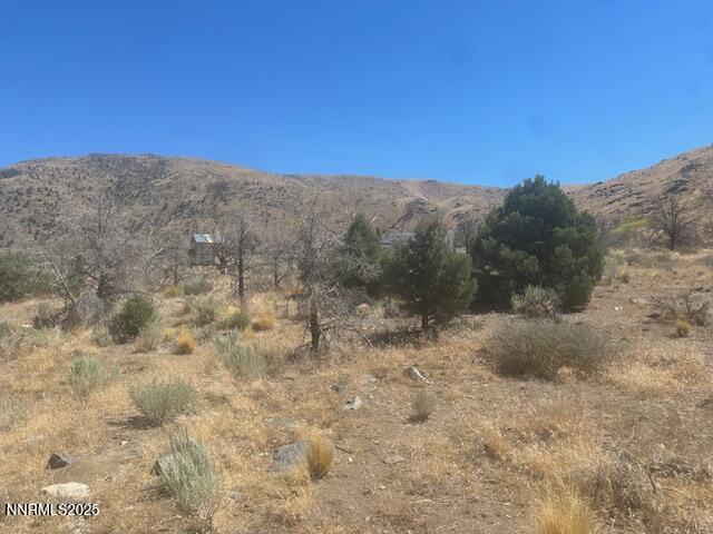 0 Pinon Place Coleville, CA 96107 - Photo 7 of 27 a view of a dry yard with mountains in the background