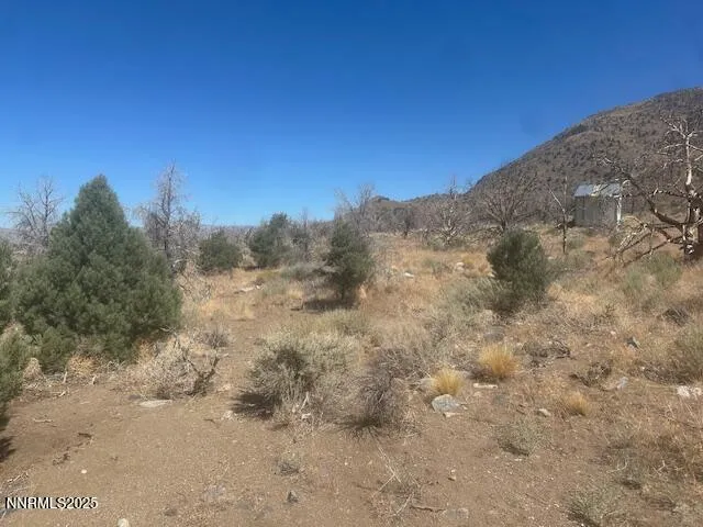 a view of a dry yard with mountains in the background