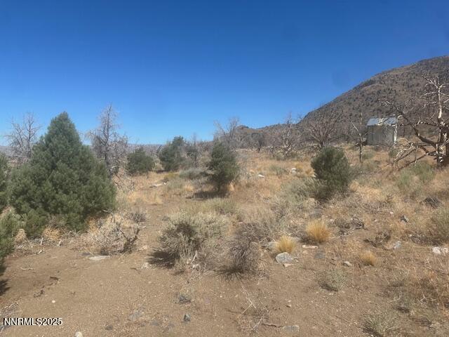 0 Pinon Place Coleville, CA 96107 - Photo 8 of 27 a view of a dry yard with mountains in the background