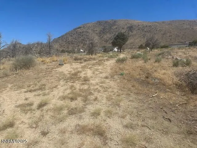 a view of a dry yard