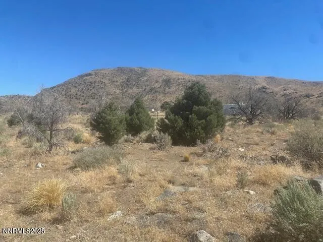 a view of a dry yard