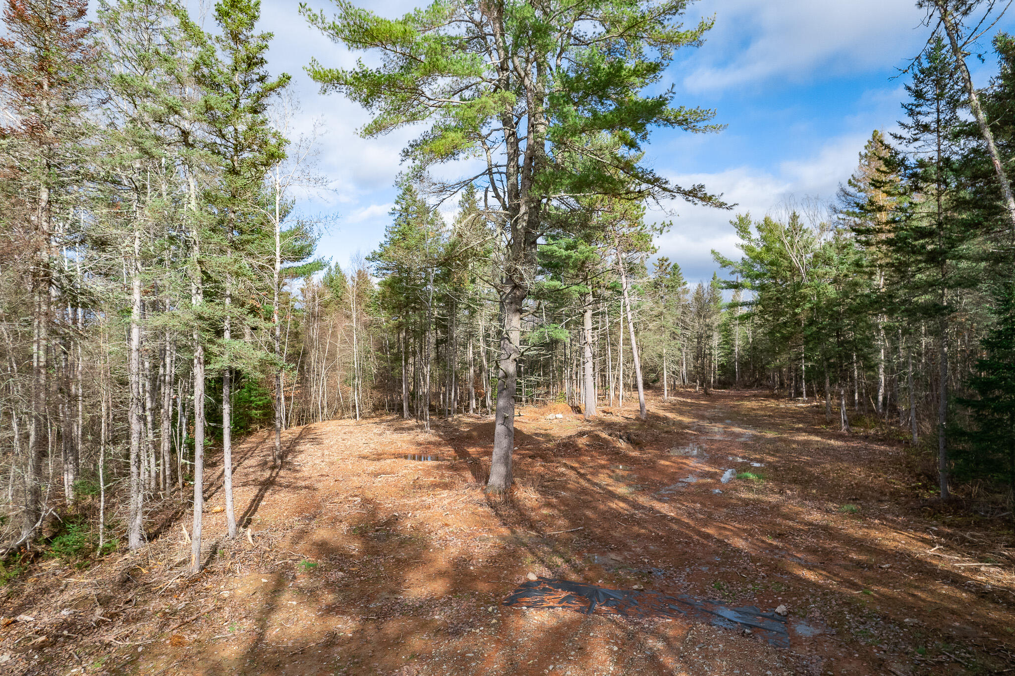 Lot 18 Rowell Road Holden, ME 04429 - Photo 17 of 17 Driveway