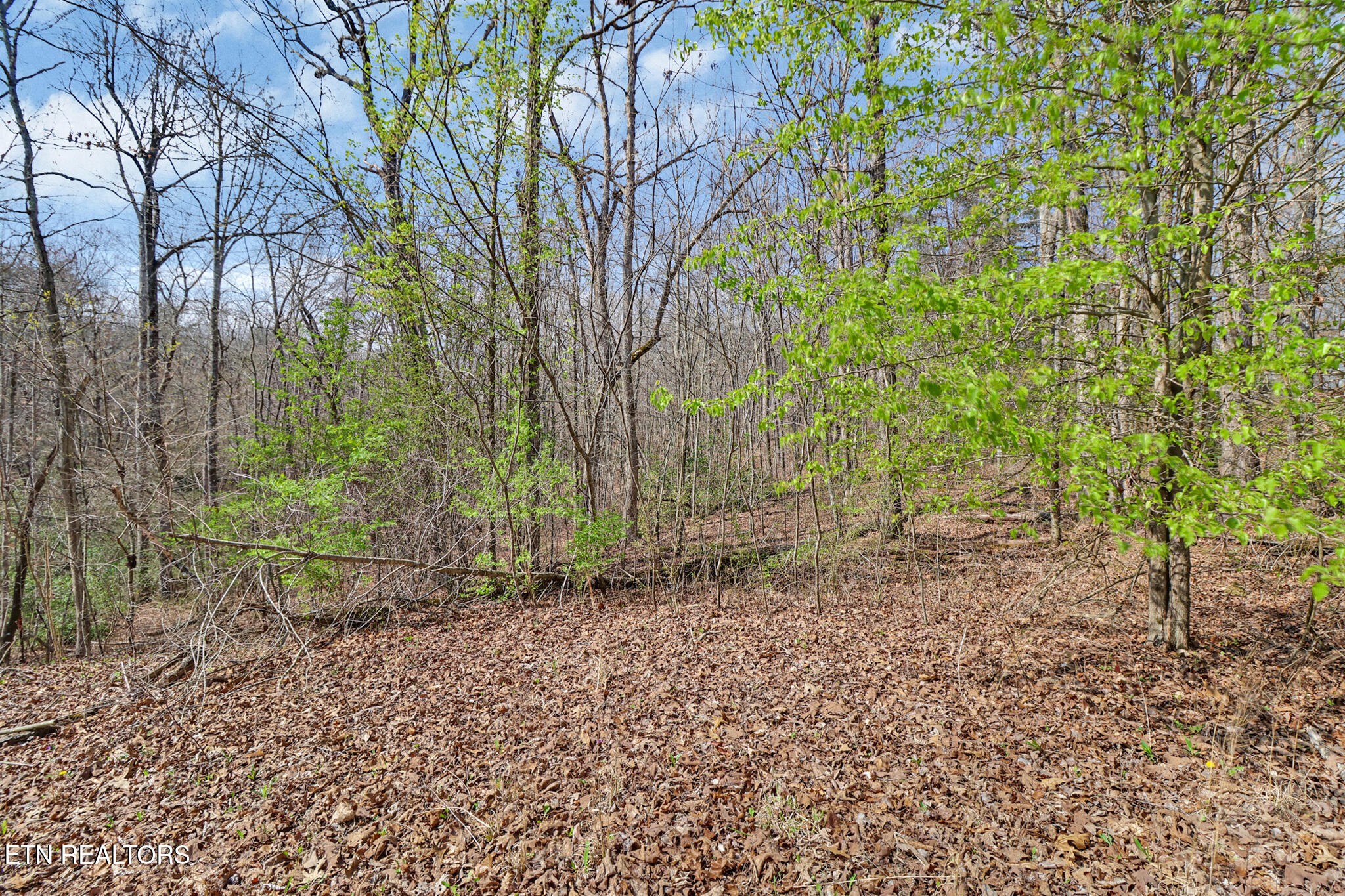 0 Thompson Road Crossville, TN 38571 - Photo 2 of 14 a backyard of a house with lots of green space