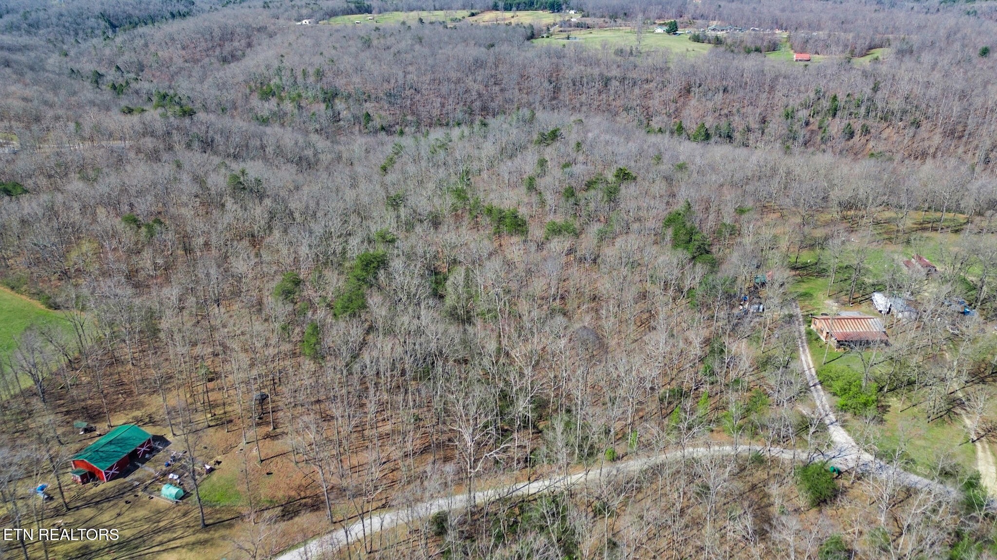 0 Thompson Road Crossville, TN 38571 - Photo 8 of 14 a view of a dry yard with trees and bushes