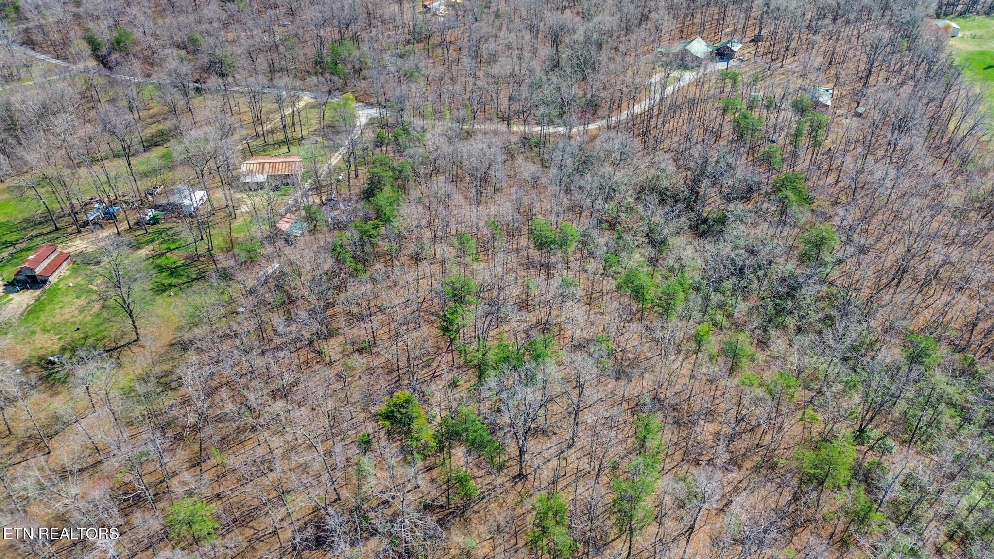 0 Thompson Road Crossville, TN 38571 - Photo 10 of 14 a view of a forest with trees