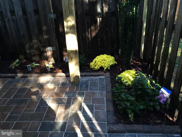 a view of a backyard with potted plants