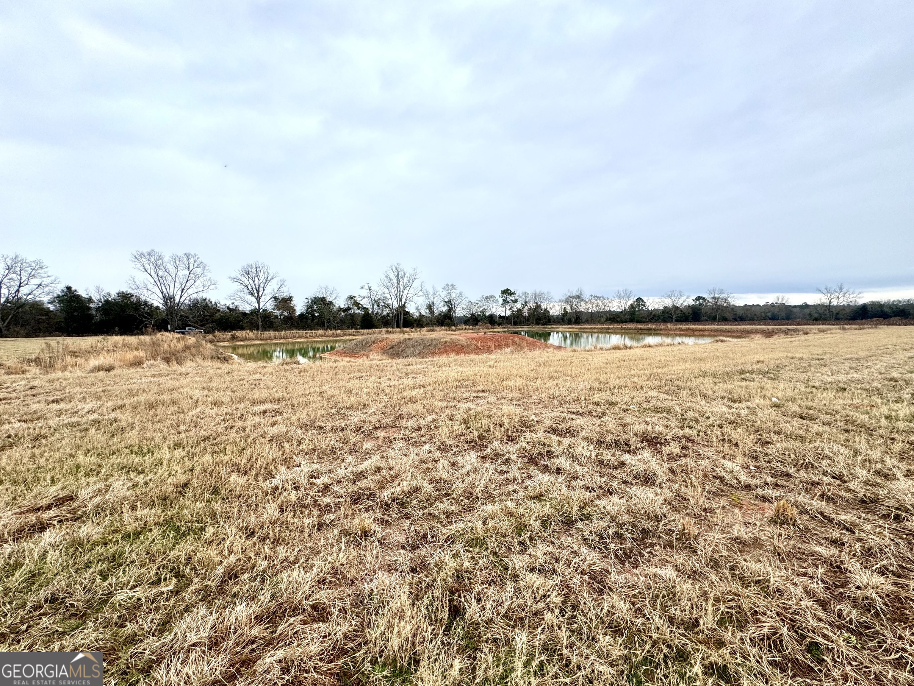 0 R P R P Miller Road Brooklet, GA 30415 - Photo 5 of 16