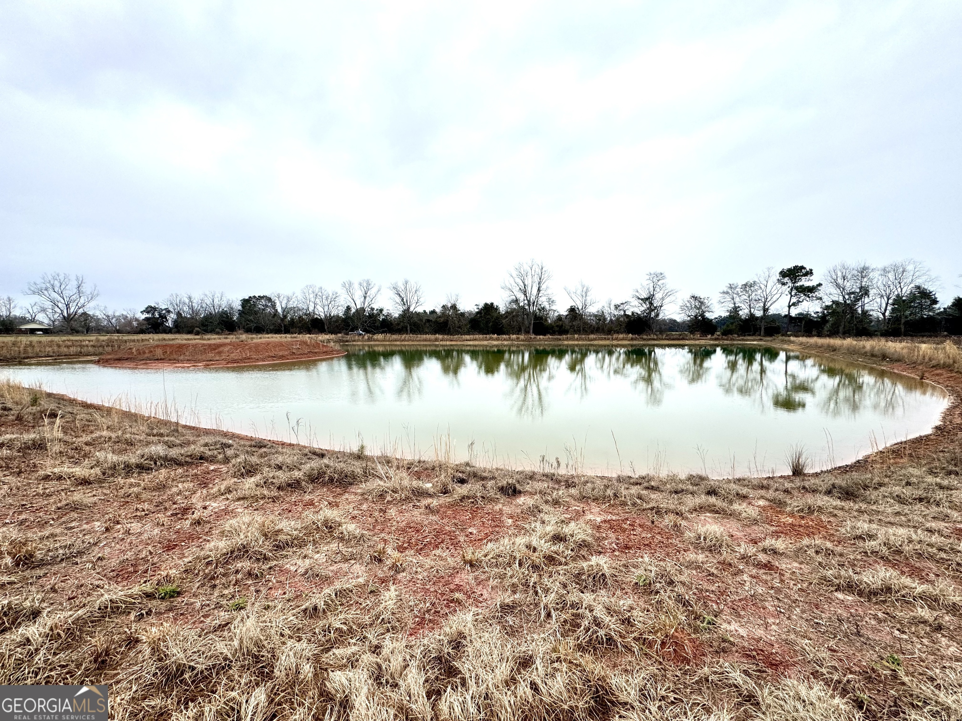 0 R P R P Miller Road Brooklet, GA 30415 - Photo 6 of 16