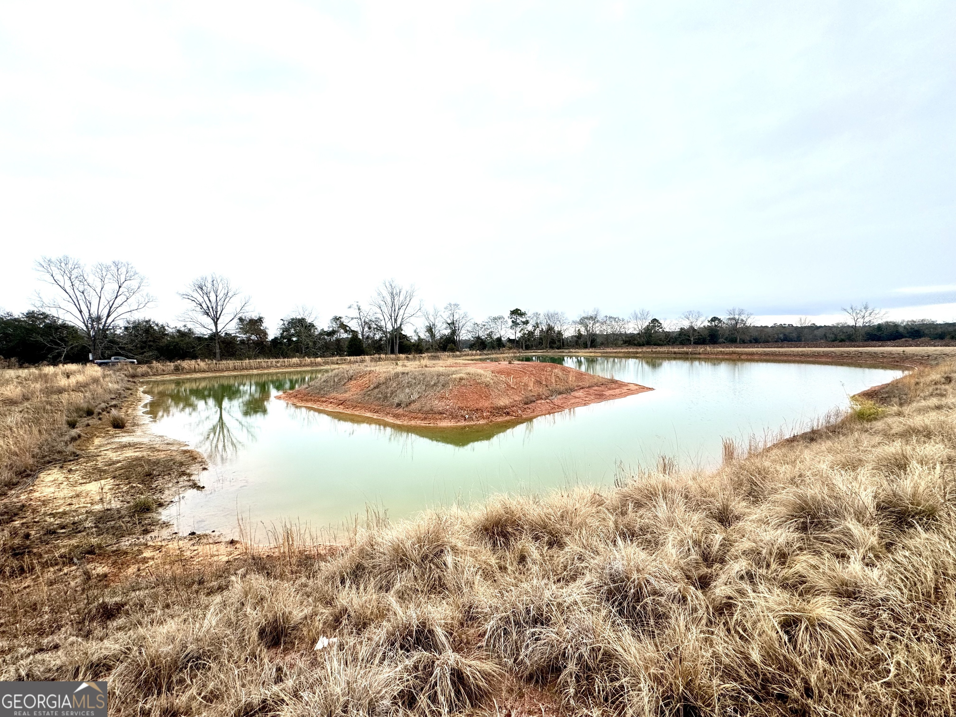 0 R P R P Miller Road Brooklet, GA 30415 - Photo 8 of 16