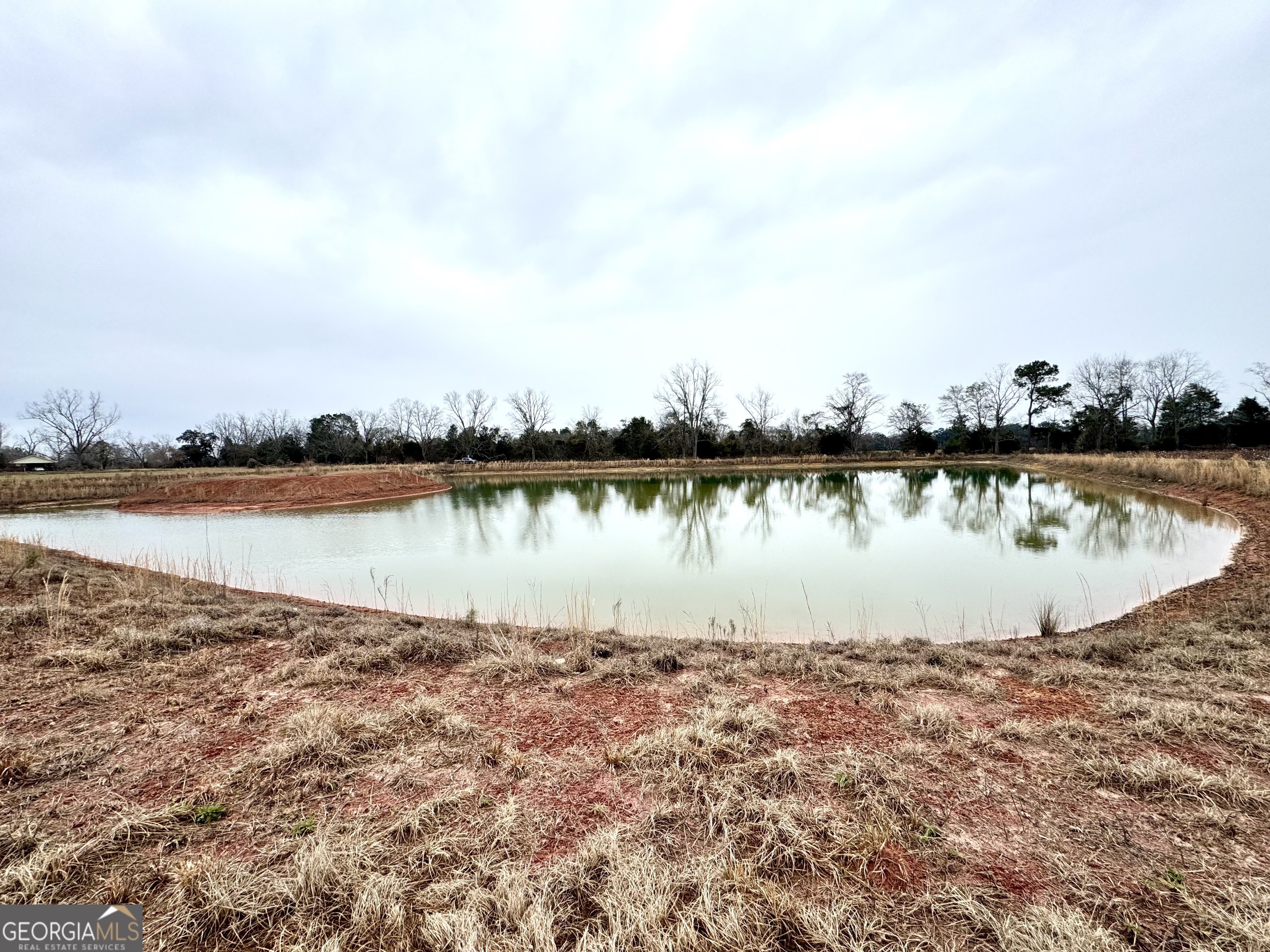 0 R P R P Miller Road Brooklet, GA 30415 - Photo 9 of 16