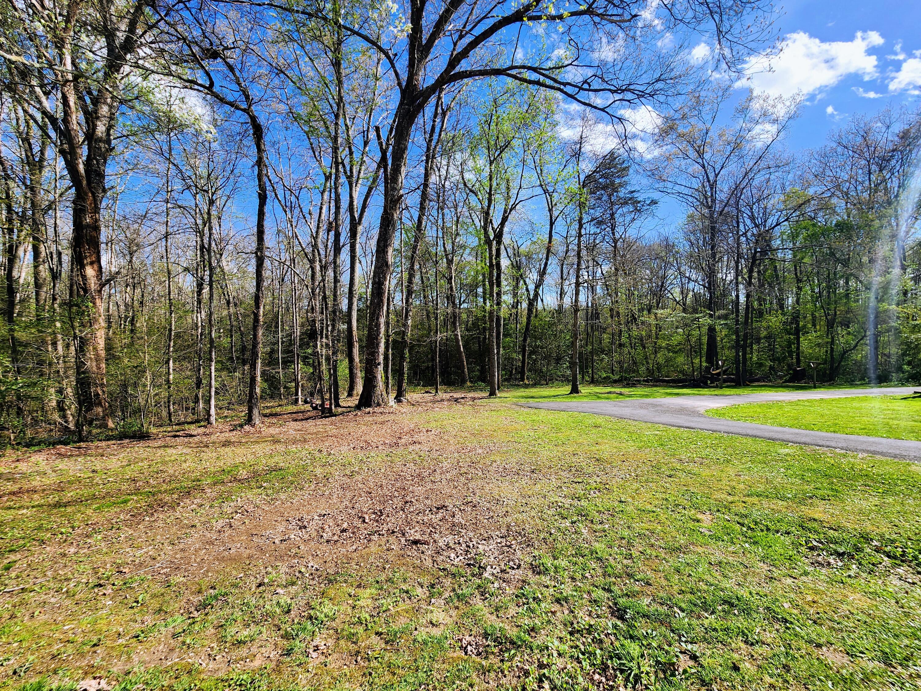 116 Keith Brewer Road Palmer, TN 37365 - Photo 12 of 70 20230416_154449