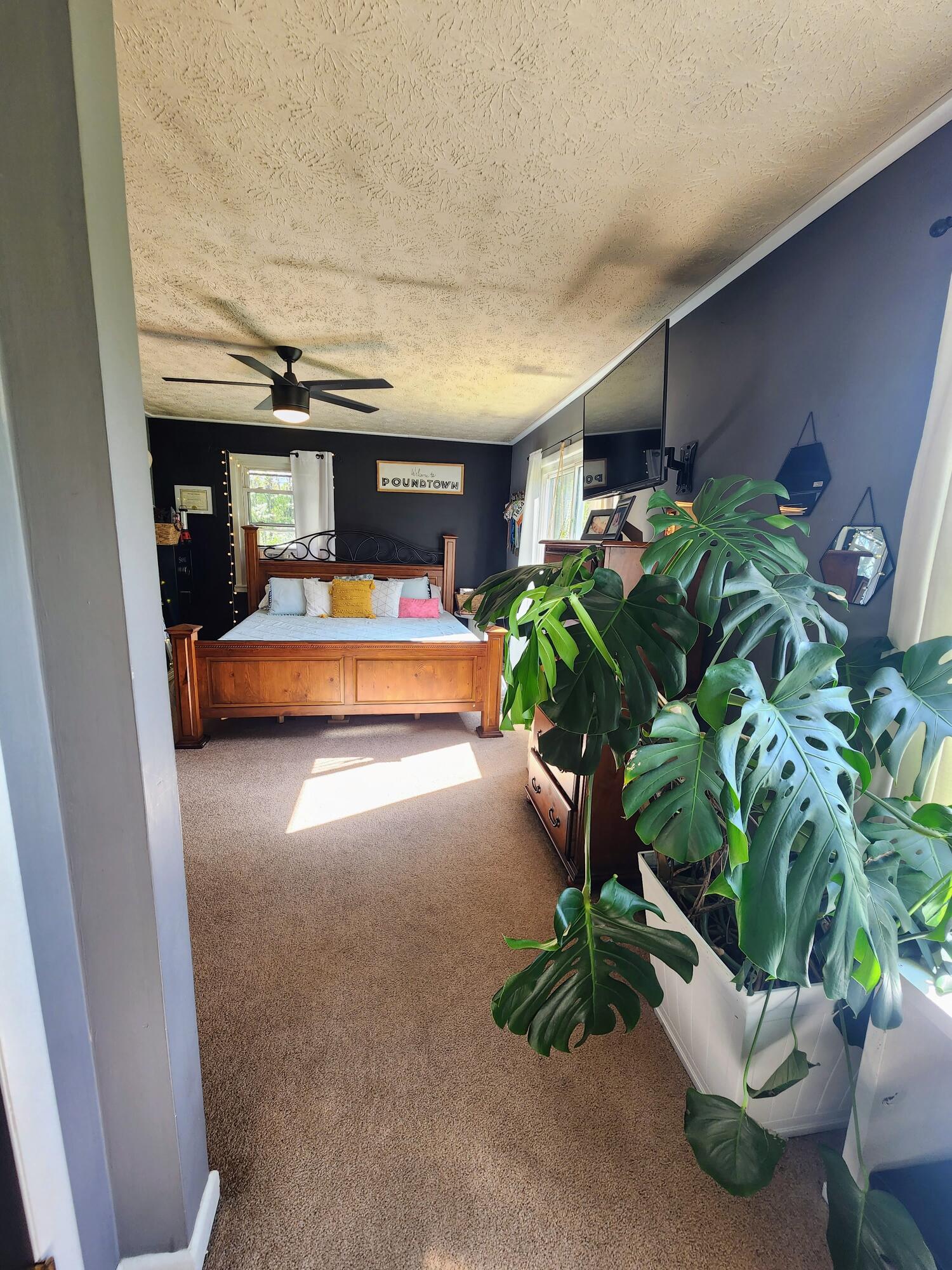 116 Keith Brewer Road Palmer, TN 37365 - Photo 24 of 70 20230416_153549