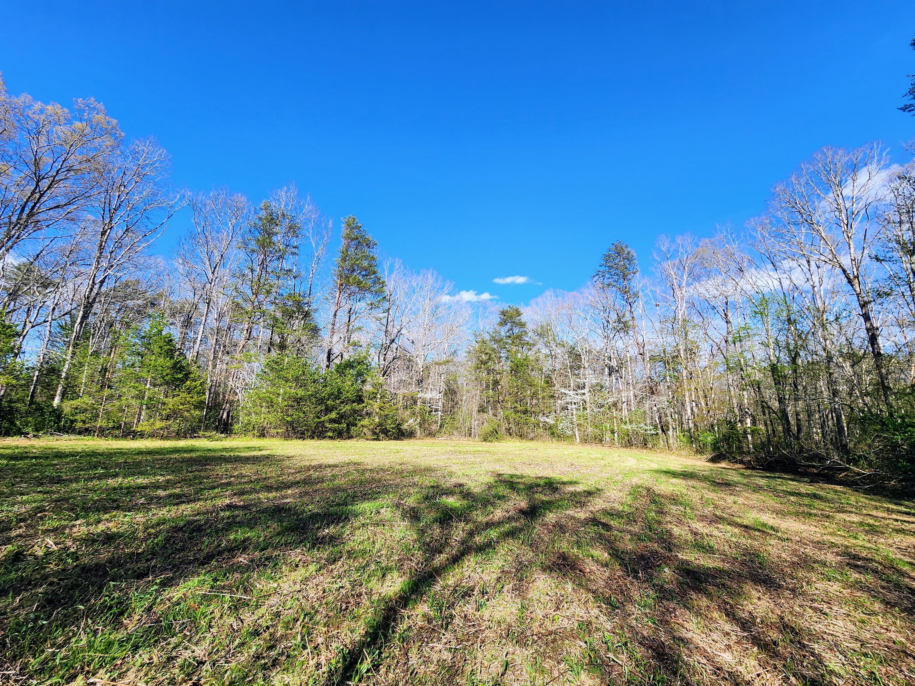 116 Keith Brewer Road Palmer, TN 37365 - Photo 65 of 70 20230416_162402